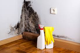 Best Industrial Mold Remediation  in Medford, WI